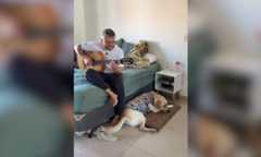 Tutor adapta clássico de Tom Jobim para agradar o cachorro