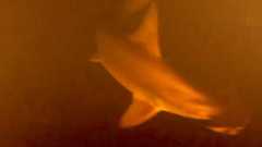 Incêndio na Penitenciária de Marília deixa sete mortos e feridos