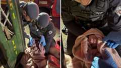 Recém-nascida é encontrada morta em saco de lixo no RJ