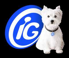 iG