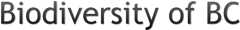 Biodiversity of British Columbia
