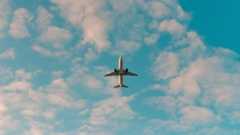 Travel Tips and News - cover