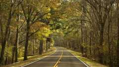Fall Leaf Peeping Adventures