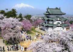 GET READY FOR JAPAN'S CHERRY BLOSSOM SEASON - cover