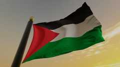 Struggle and Solidarity: Writing Toward Palestinian Liberation - cover