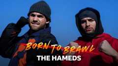 Born To Brawl: The Hameds