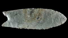 Clovis point