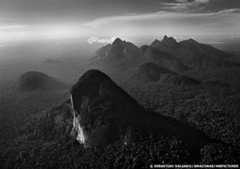 The State of Amazonas, Brazil, 2009
