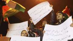 Demonstrators protest against the murder of pilot Moaz al-Kasasbeh (03 February 2015)