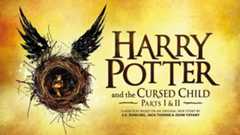 Harry Potter and the Cursed Child poster showing a picture of a boy in a nest with wings