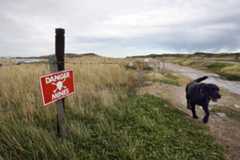 Surf Bay in 2007, before it was cleared