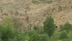 Flattened houses and trees at the site of the MOAB strike