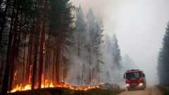 Wildfires have blazed across Sweden this summer, with hot weather and persistent drought cited as the main causes