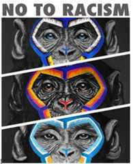 Serie A no to racism