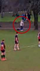 Baw ci yn 'broblem enfawr' i glwb rygbi - hyd yn oed yn ystod gêm