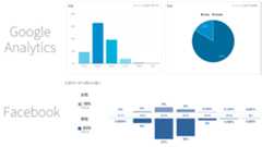 ICS MEDIAの読者の傾向。Google AnalyticsとFacebookファン数より