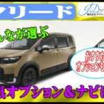 フリードの人気オプション&ナビをチェック