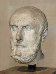 Chrysippus