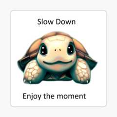 Slow Down and enjoy the moment Sticker