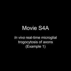 posterframe for video