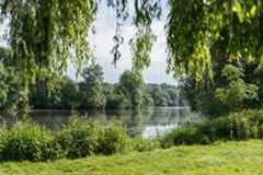 L’AOC Muscadet Sèvre et Maine - Muscadet