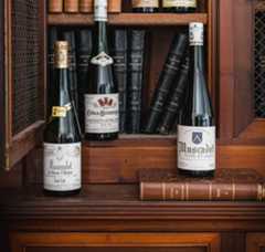 Notre Histoire - Muscadet