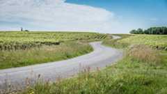 Carnet de Voyage - Muscadet