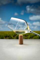 L’AOC Muscadet Sèvre et Maine - Muscadet