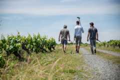 Nos Valeurs - Muscadet