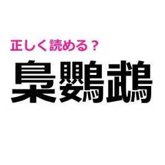 「梟鸚鵡」をしれっと読めた人、とてつもなくIQ高いよ……。正しい読み方はなに？【難しい漢字クイズ】