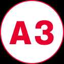 A3