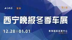 2024首届西宁晚报冬季车展