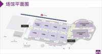 6月香港車博會，新能源車企業集體亮相！
