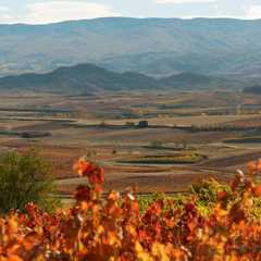 Vino im Kino: Das Land der Tausend Weine