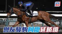今戰廖廄繼續大軍壓境，有望再添進帳，其中「譽友駿駒」(圖) 要加倍留神，昨朝出跳不只交出極佳走勢，課後阿廖更第一時間趕去機坪接馬。