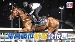 葉楚航今朝在烽火台睇完再返馬房閘口接馬。