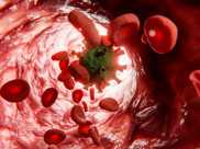 AIDS tokalaşmakla, sarılmakla bulaşır mı