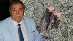 Milastaki zeytin ağacı kesimine ilişkin soruşturma sonrası CHP ilçe başkanı istifa etti Milastaki zeytin ağacı kesimine ilişkin soruşturma sonrası CHP ilçe başkanı istifa etti