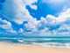 /business/articles/2009/01/news010.jpg