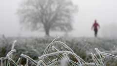 Gefrorenes Gras im Vordergrund, eine Person geht im Nebel auf eine Baumgruppe zu.