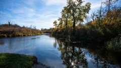 Unberührte Natur in der Lobau.