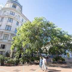 Zwei Frauen gehen über einen Platz mit Bäumen und einem Gebäude im Hintergrund.