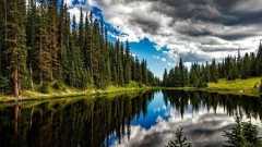 Manzara Sözleri 2026: Güzel Deniz Ve Ağaç Manzaraları İle İlgili Söylenmiş En Güzel Sözler