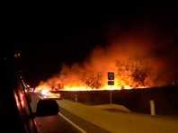 В Анапе сильный ветер раздул возгорание камыша: есть угроза домам (ВИДЕО)