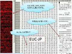 EUC-JPは、Shift_JISより         もうすこし黒いですね。               半角カナが多いです。Ax、Bx、Cxが多い?           EUC-JP                               27 / 83 