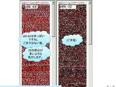 x86-64は赤っぽい    ですね。      (ごま塩)ごまではない塩。  白の部分が  多いような  気がします。                      44 / 83 