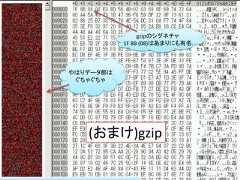 gzipのシグネチャ           1F 8B (08)はあまりにも有名やはりデータ部は ぐちゃぐちゃ   (おまけ)gzip                                48 / 83 