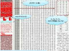 (スクロール後)ASCIIテキストだ!                            ra、fp、hi、lo…                         MIPSで間違いないな!                                       56 / 83 