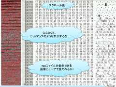 スクロール後      なんとなく、ビットマップのような気がするな…     rawファイルを表示できる    画像ビューアで見てみるか!                     75 / 83 