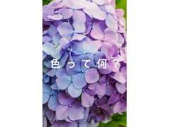 色 っ て 何 ? 